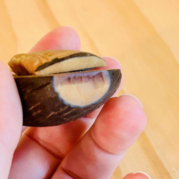 Vintage Native South American Carved Tagua Nut Head Man Silhouette Profile - Picture 6 of 11